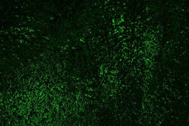 soyut siyah yeşil doku, arkaplan, duvar kağıdını kopyala