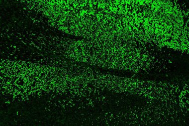 soyut siyah yeşil doku, arkaplan, duvar kağıdını kopyala