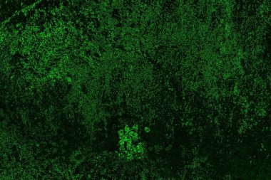 soyut Yeşil ve siyah doku ve arkaplan, boşluğu kopyala