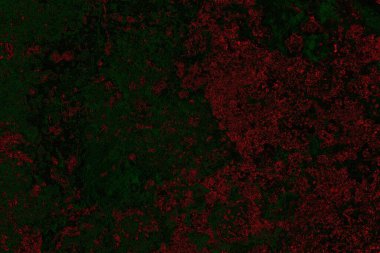 Dökülen boya paslı metal dokusu