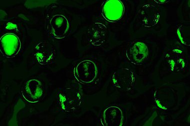 Yeşil ve siyah doku ve arkaplan, boşluğu kopyala