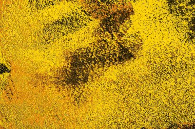 Kırmızı sarı ve siyah renkli kirli duvar, desenli arka plan.