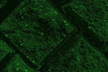 soyut siyah yeşil doku, arkaplan, duvar kağıdını kopyala