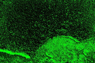 soyut siyah yeşil doku, arkaplan, duvar kağıdını kopyala