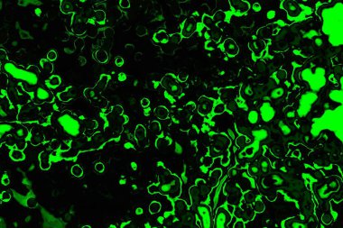 soyut siyah yeşil doku, arkaplan, duvar kağıdını kopyala