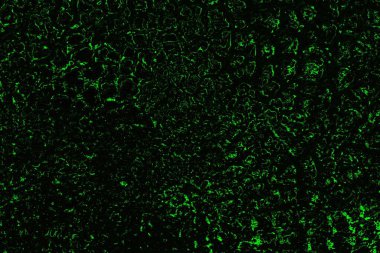 soyut siyah yeşil doku, arkaplan, duvar kağıdını kopyala