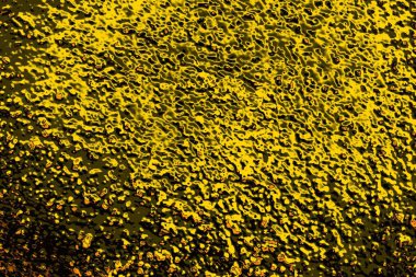 Kırmızı sarı ve siyah renkli kirli duvar, desenli arka plan.