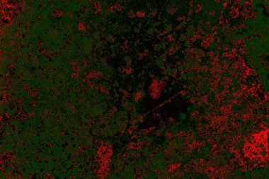 Dökülen boya paslı metal dokusu