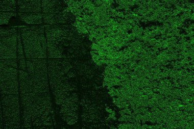 Yeşil ve siyah doku ve arkaplan, boşluğu kopyala