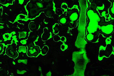 soyut siyah yeşil doku, arkaplan, duvar kağıdını kopyala