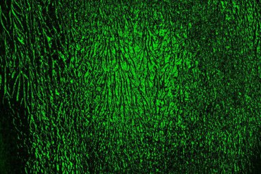 Yeşil ve siyah doku ve arkaplan, boşluğu kopyala