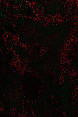 Arkaplan için paslı metal dokusu