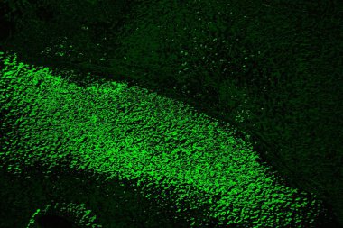 soyut siyah yeşil doku, arkaplan, duvar kağıdını kopyala