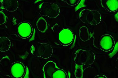 soyut siyah yeşil doku, arkaplan, duvar kağıdını kopyala