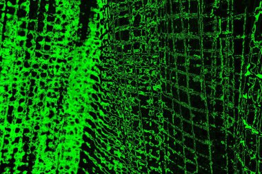 soyut yeşil ve siyah doku ve arkaplan, uzay duvar kağıdını kopyala