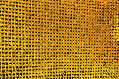 Kırmızı sarı ve siyah renkli kirli duvar, desenli arka plan.