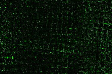 soyut siyah yeşil doku, arkaplan, duvar kağıdını kopyala