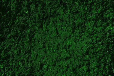 Yeşil ve siyah doku ve arkaplan, boşluğu kopyala