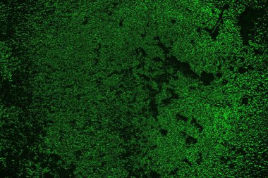 soyut yeşil doku, arkaplan, duvar kağıdını kopyala