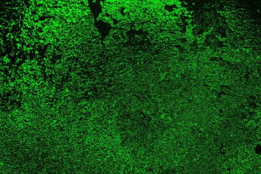 soyut yeşil doku, arkaplan, duvar kağıdını kopyala