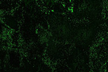 Arkaplan için paslı metal dokusu