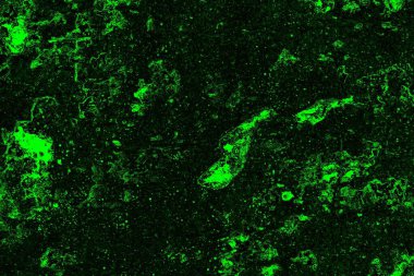 soyut siyah yeşil doku, arkaplan, duvar kağıdını kopyala