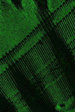 soyut Yeşil ve siyah doku ve arkaplan, boşluğu kopyala