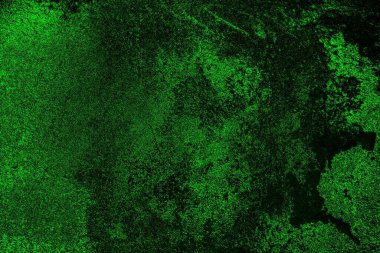 soyut yeşil doku, arkaplan, duvar kağıdını kopyala