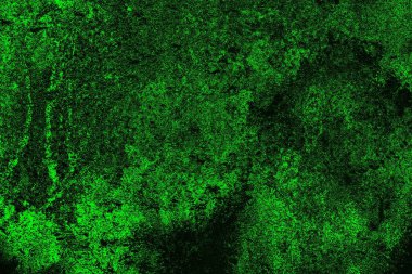 Yeşil ve siyah doku ve arkaplan, boşluğu kopyala