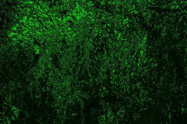 soyut Yeşil ve siyah doku ve arkaplan, boşluğu kopyala