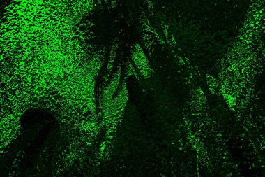 soyut siyah yeşil doku, arkaplan, duvar kağıdını kopyala