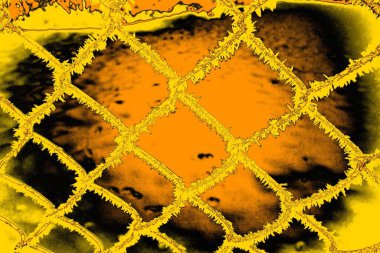 Karla kaplı kafes çiti. Kış zamanı. Şiddetli kar yağışıweather condition.