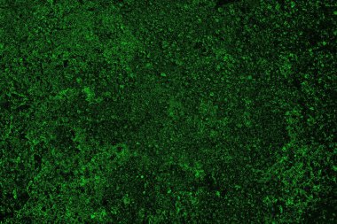 soyut Yeşil ve siyah doku ve arkaplan, boşluğu kopyala