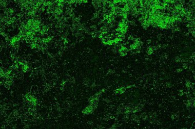 soyut siyah yeşil doku, arkaplan, duvar kağıdını kopyala