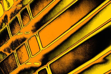 Kırmızı sarı ve siyah renkli kirli duvar, desenli arka plan.