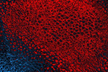 Polistiren köpük yakın plan. Bir sürü küçük ve büyük kabarcıklar stiroköpük doku arkaplanı.