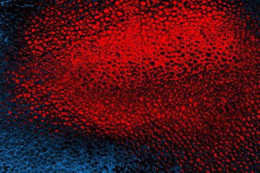 Polistiren köpük yakın plan. Bir sürü küçük ve büyük kabarcıklar stiroköpük doku arkaplanı.