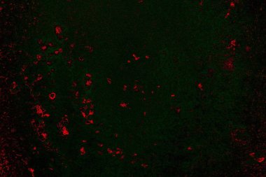 Metal plaka dokusu ve arka plan. Metal yüzey paslanmış lekeler. Paslı metal arka plan. Metal arkaplan.