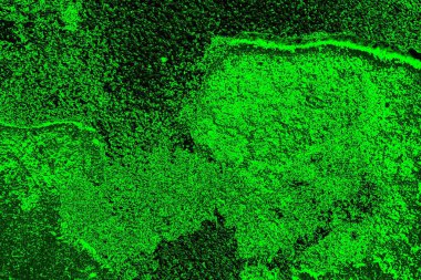 soyut siyah yeşil doku, arkaplan, duvar kağıdını kopyala