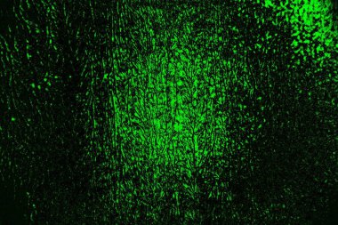 Yeşil ve siyah doku ve arkaplan, boşluğu kopyala