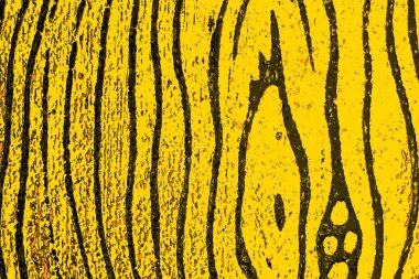 Kırmızı sarı ve siyah renkli kirli duvar, desenli arka plan.