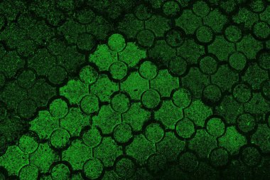 soyut yeşil doku, arkaplan, duvar kağıdını kopyala