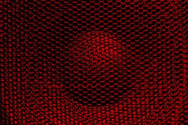 Koruyucu ızgarası olan güçlü bir hoparlör..