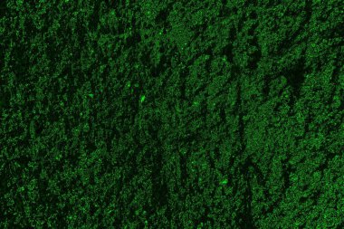 Yeşil ve siyah doku ve arkaplan, boşluğu kopyala