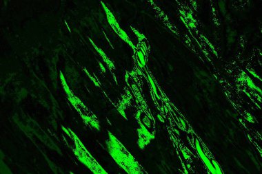 soyut Yeşil ve siyah doku ve arkaplan, boşluğu kopyala