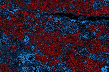 soyut siyah kırmızı doku, arkaplan, boşluk duvar kağıdını kopyala