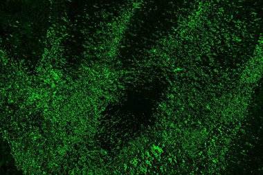 soyut siyah yeşil doku, arkaplan, duvar kağıdını kopyala