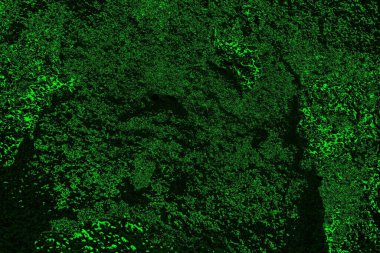 soyut yeşil doku, arkaplan, duvar kağıdını kopyala