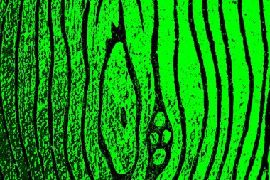 soyut siyah yeşil doku, arkaplan, duvar kağıdını kopyala