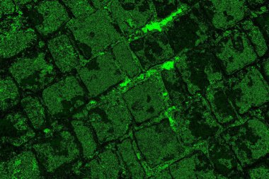 soyut siyah yeşil doku, arkaplan, duvar kağıdını kopyala